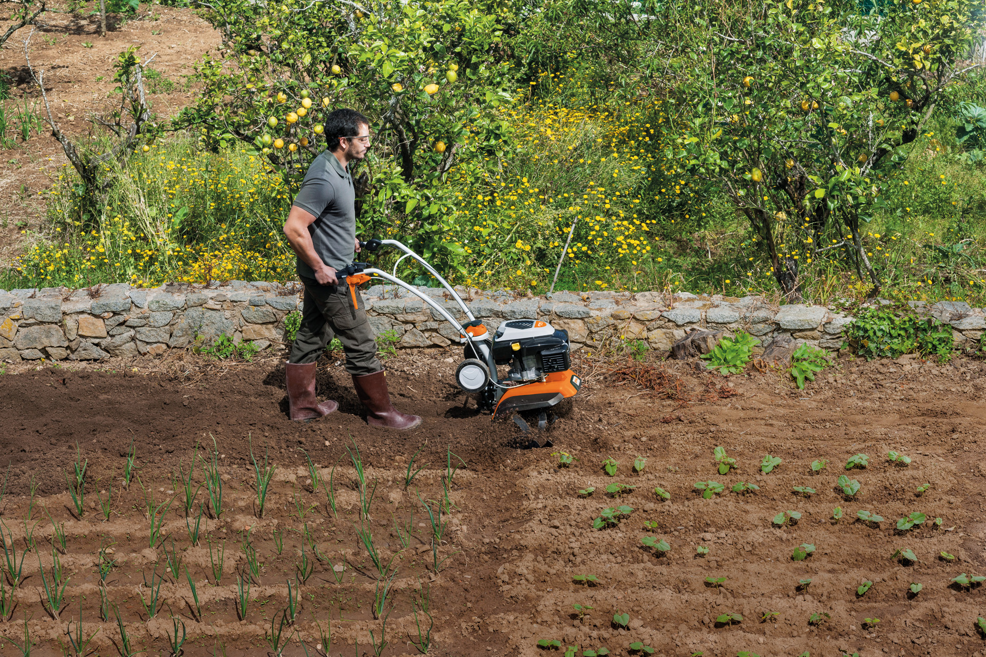 Tuinfrees MH 685