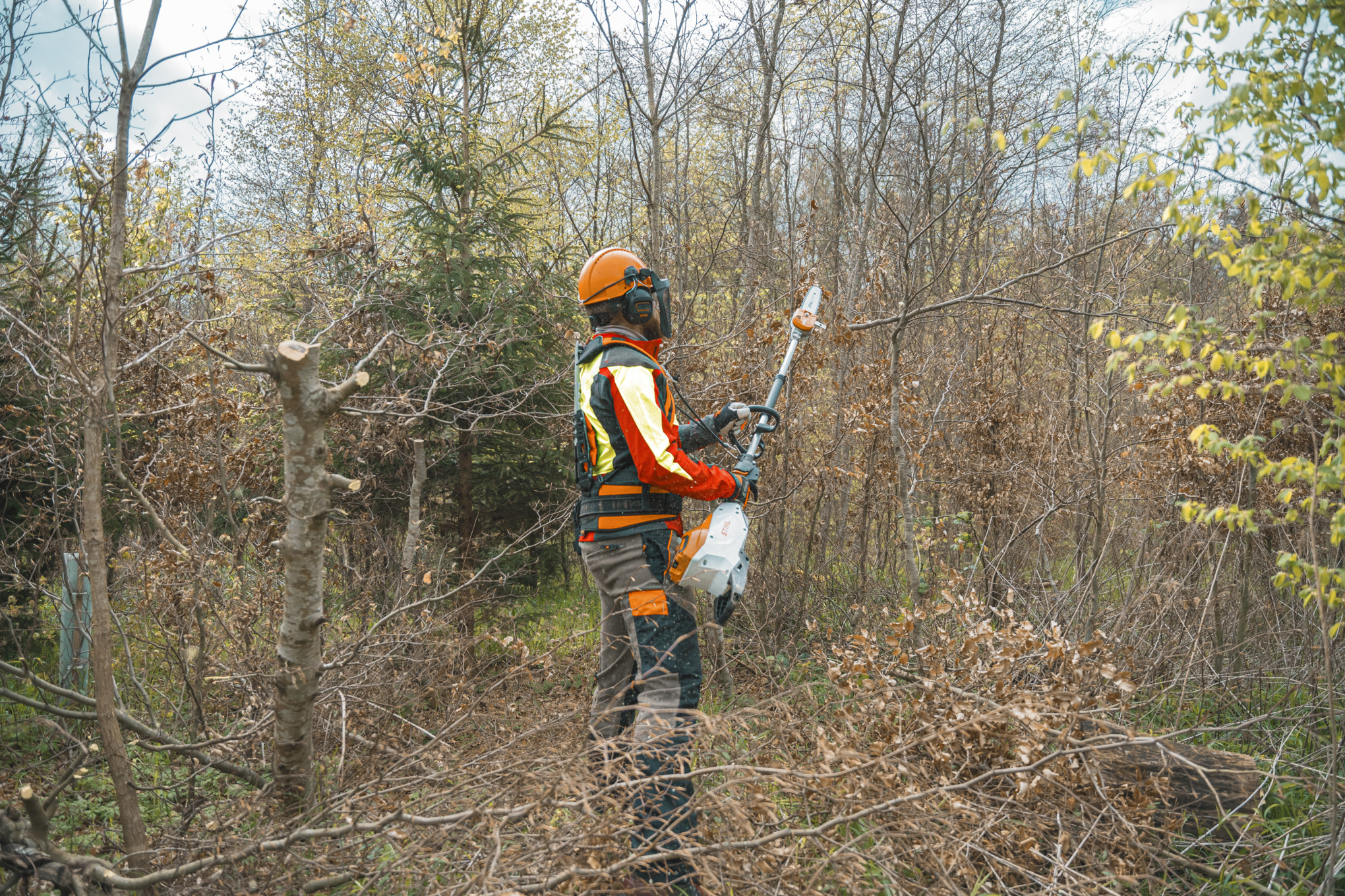 Een persoon op de rug gezien, snoeit een tak met de STIHL hoogsnoeier HTA 150