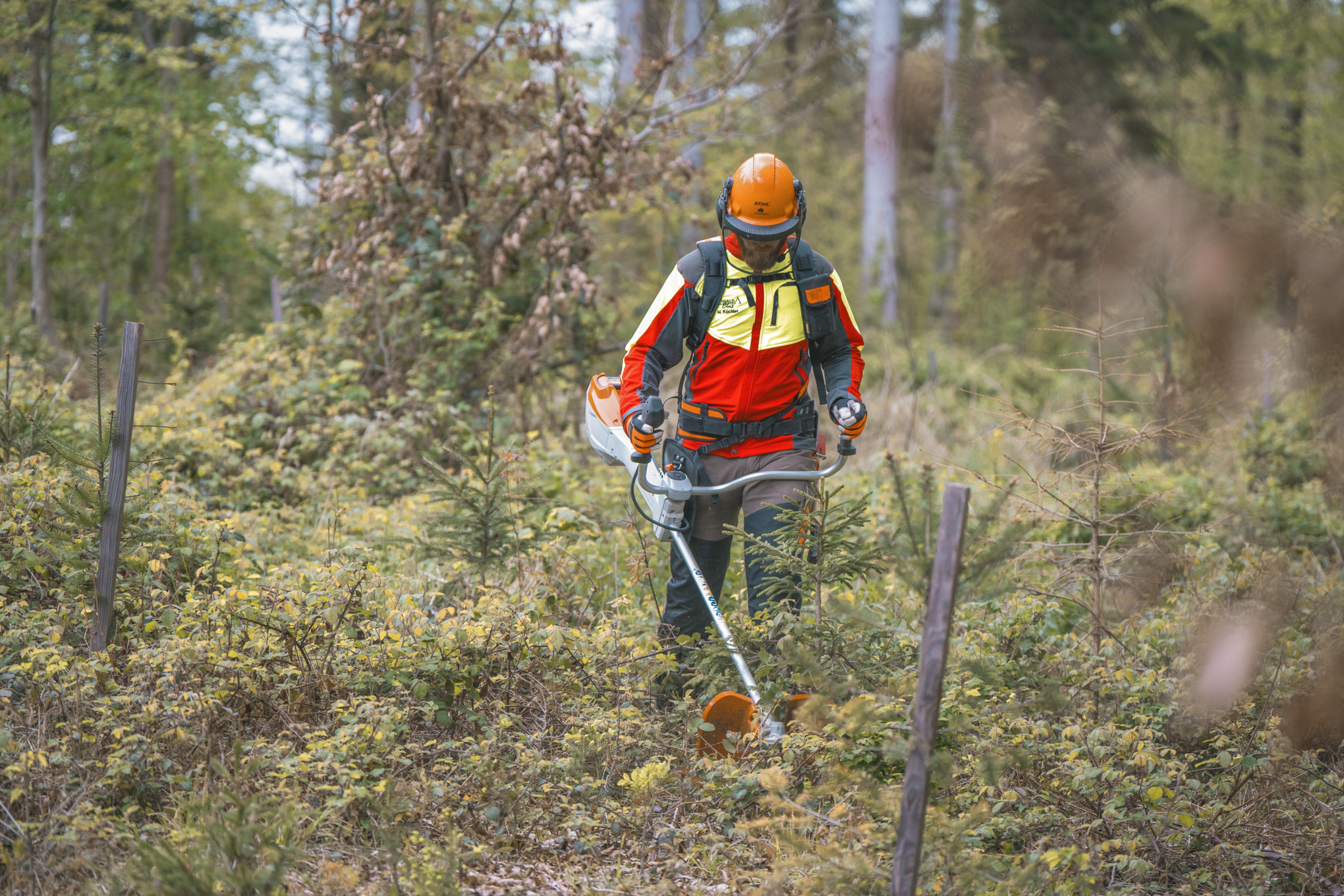 Markus Küchler trimt woekerend struikgewas op de grond met de STIHL FSA 400 accubosmaaier