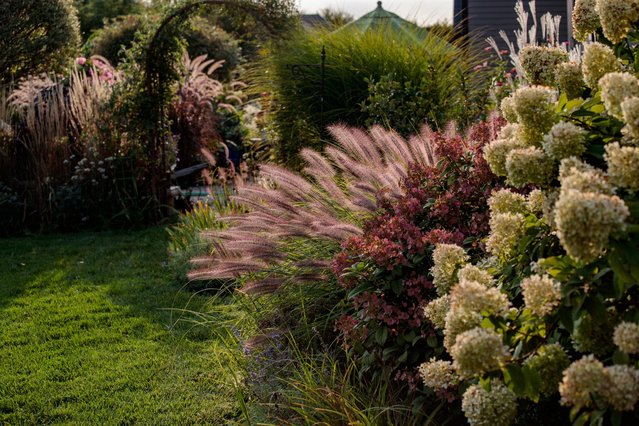 Siergras en bloeiende struiken op een gazon, op de achtergrond een beplante boog en een tuinhuis  