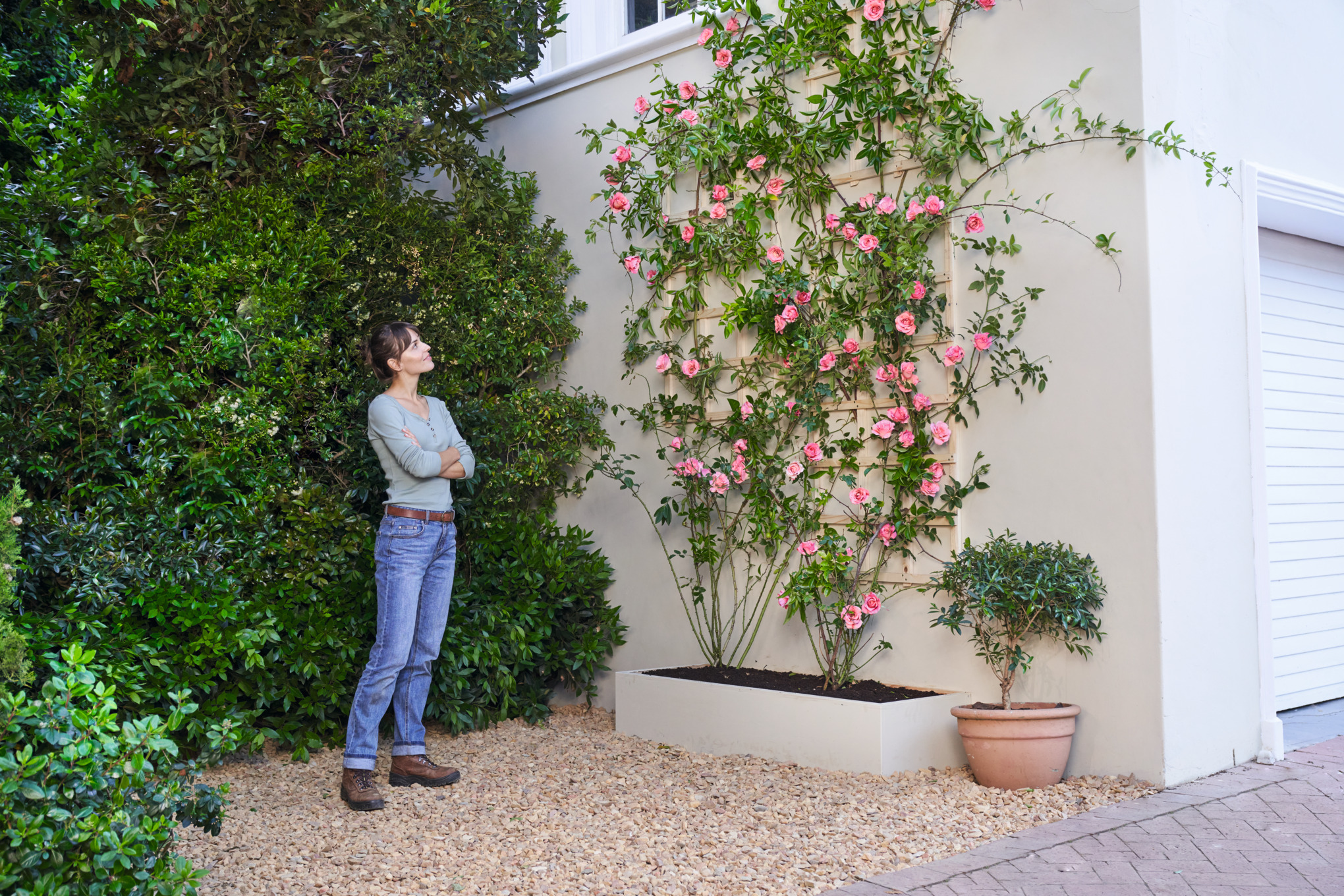 Roestvrijstalen tuin harkje voor perfect tuinwerk