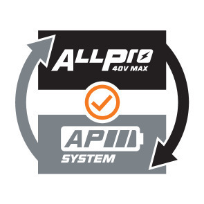 AP systeem