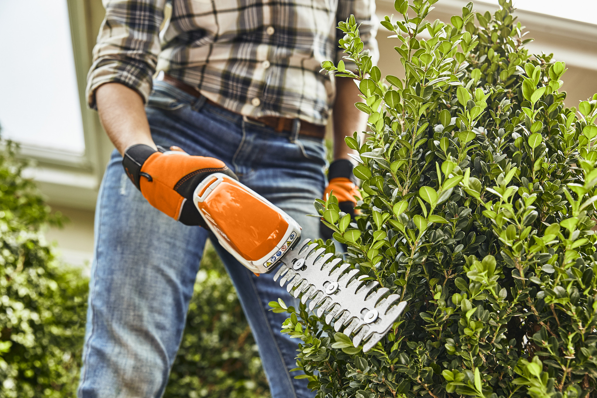 Systematisch Bij naam rijstwijn HSA 26 accugras- en buxusschaar | STIHL