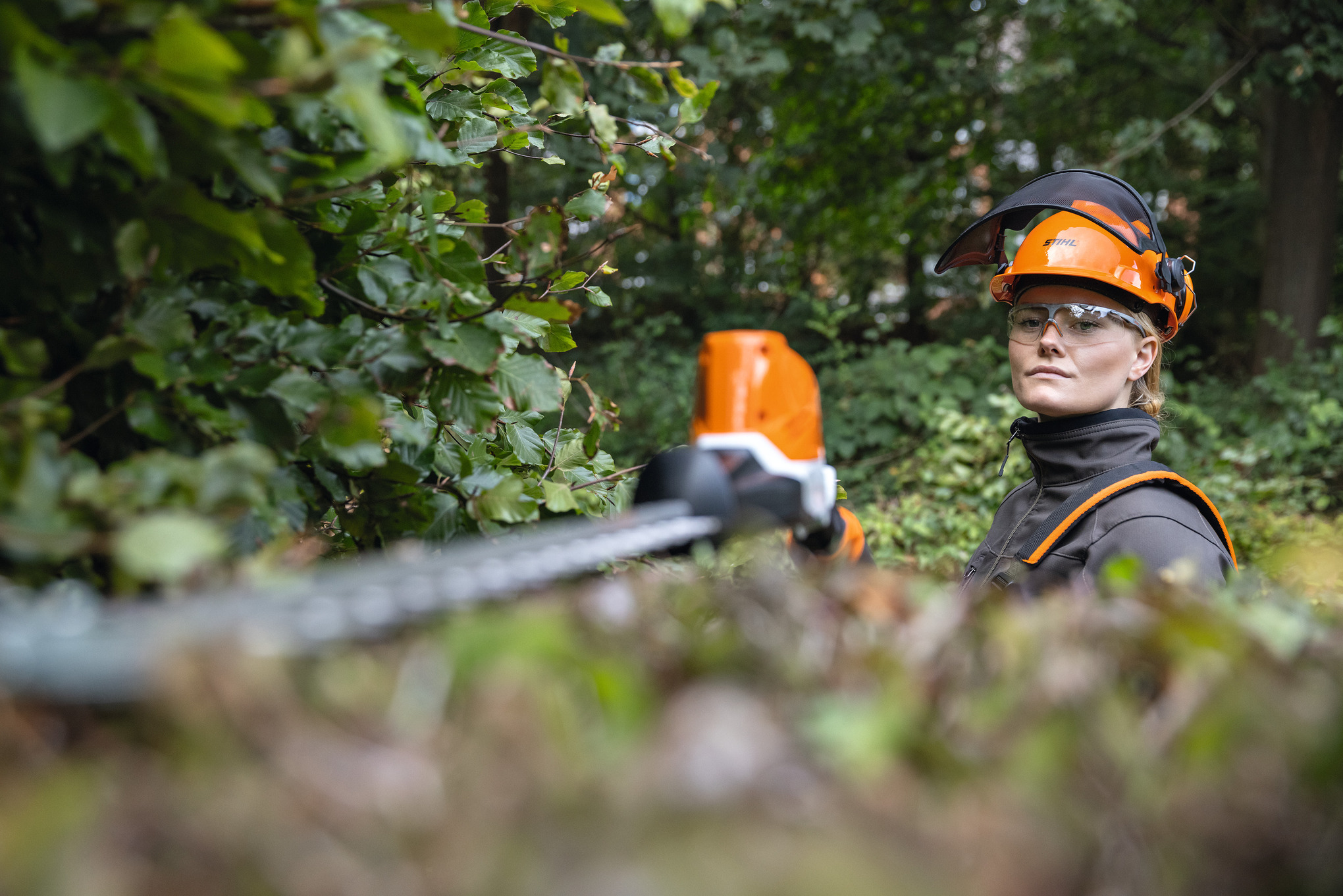 HLA 86 accuheggenschaar op steel