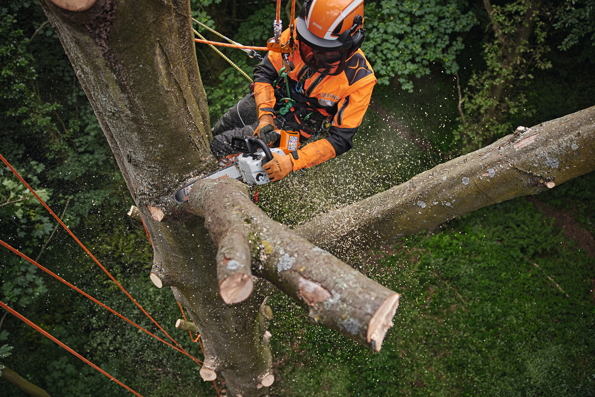 MSA 220 TC-O accukettingzaag voor boomverzorging