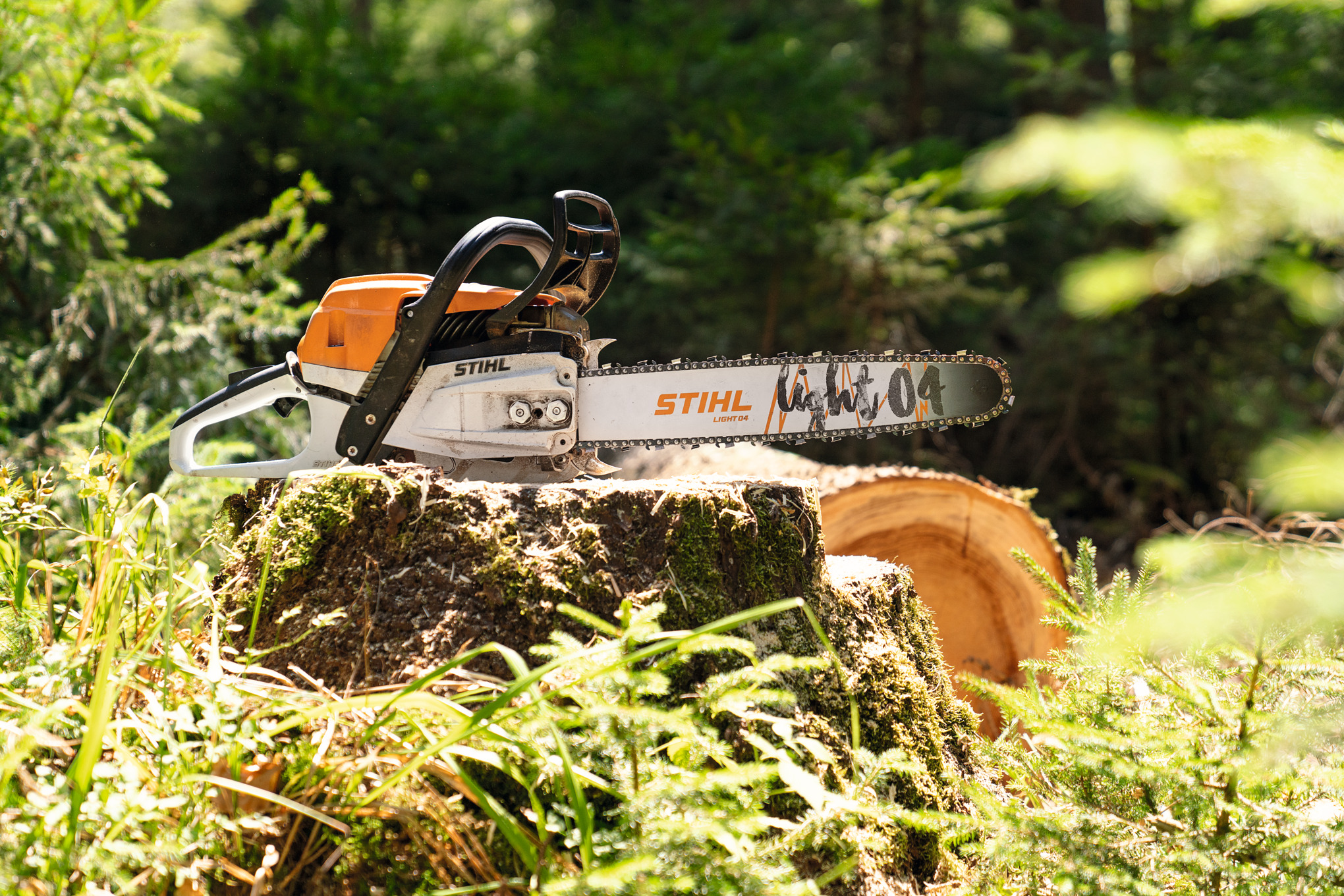 STIHL benzine-kettingzaag MS 261 C-M op een boomstronk in het bos