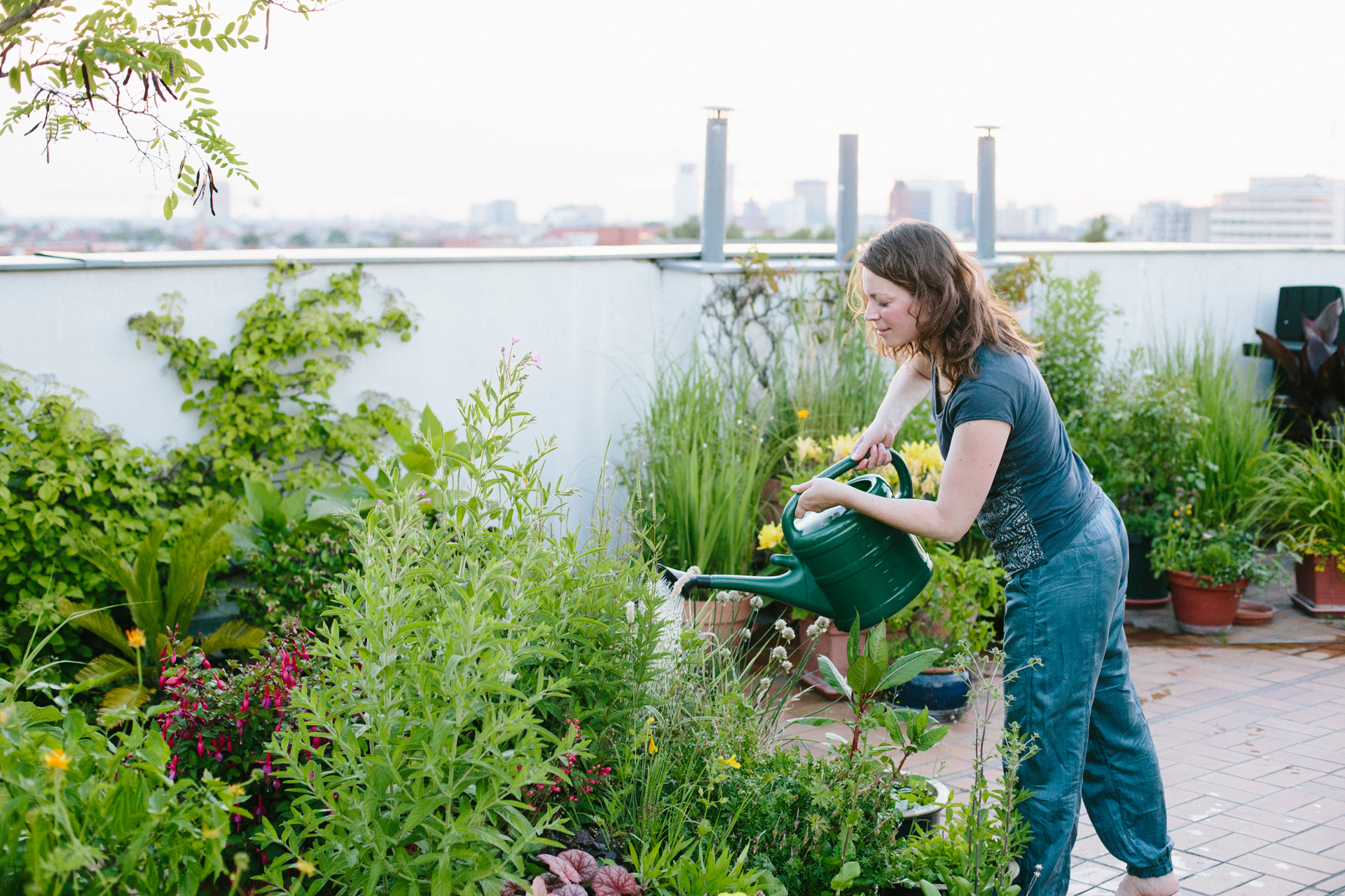 Vrouw geeft planten op een dakterras water