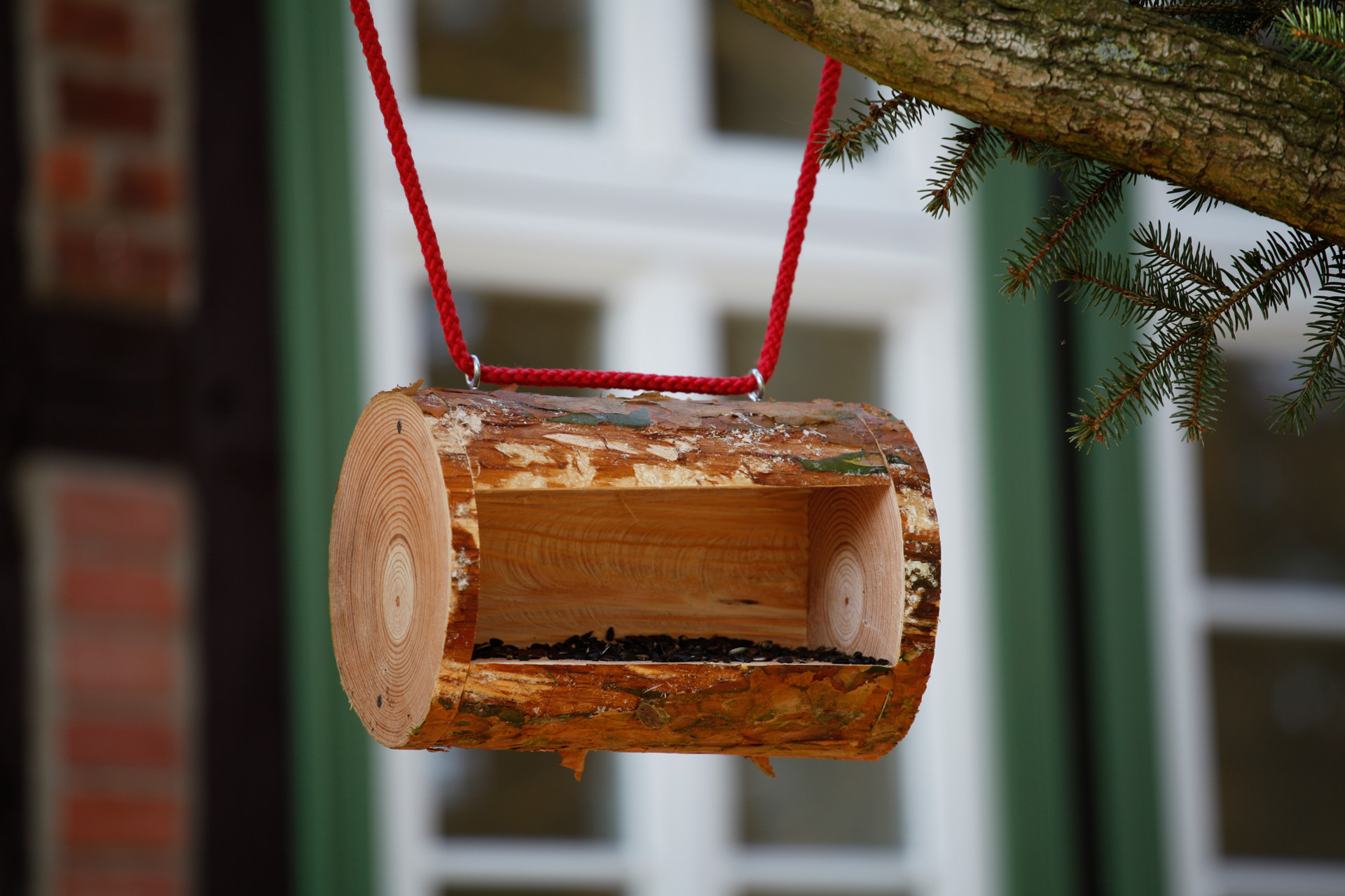 Een afgewerkt DIY-vogelvoederhuis die aan een tak hangt met een stuk rood koord