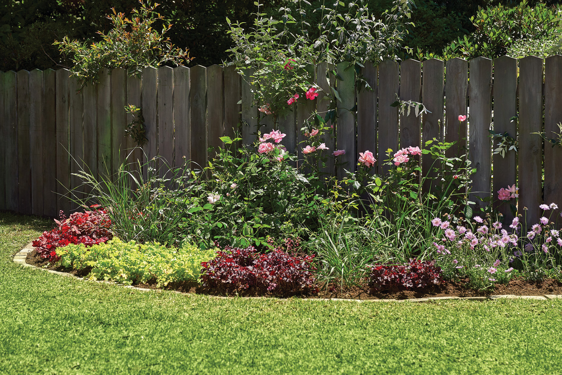 Perk met omranding en met kleine grassen en rozen aan de rand van een kleine tuin, grenzend aan middelhoog houten hek.