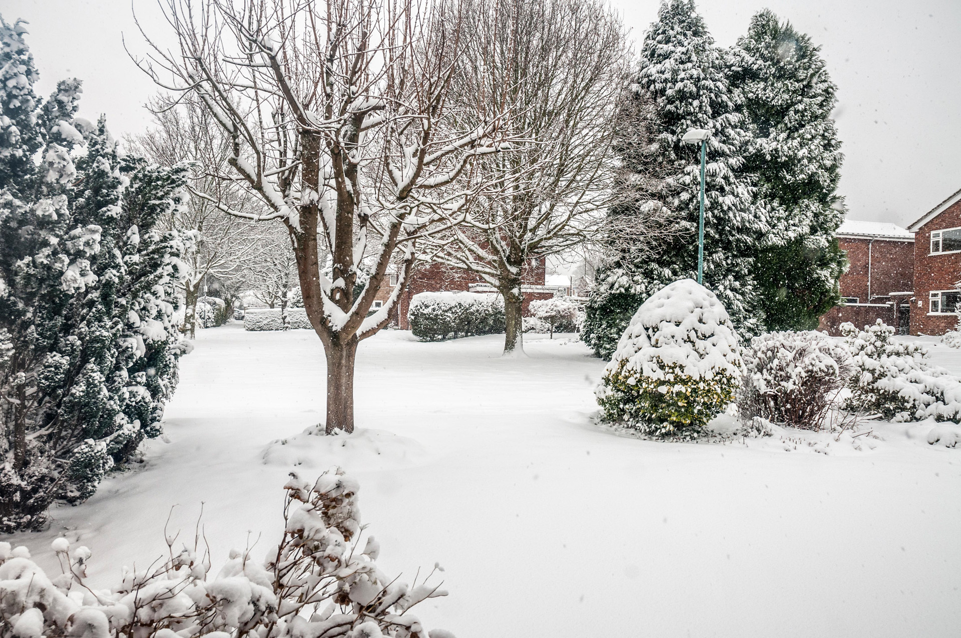 Het gazon in deze tuin met besneeuwde bomen en struiken heeft niet veel verzorging nodig in de winter.