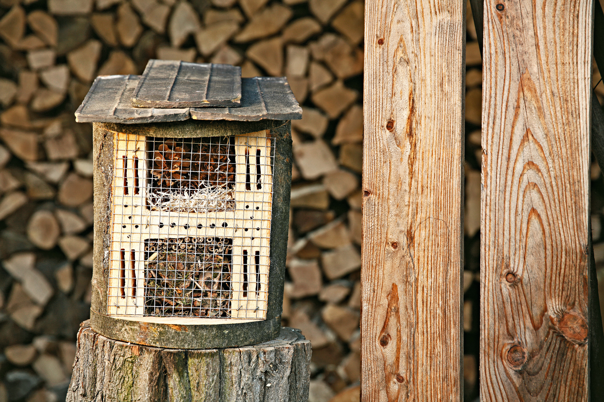 Afgewerkt, zelfgemaakt insectenhotel op een boomstronk