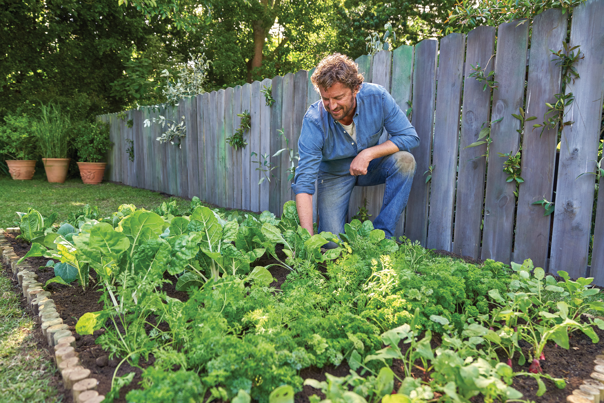 Een man hurkt neer in een weelderige moestuin naast een houten omheining