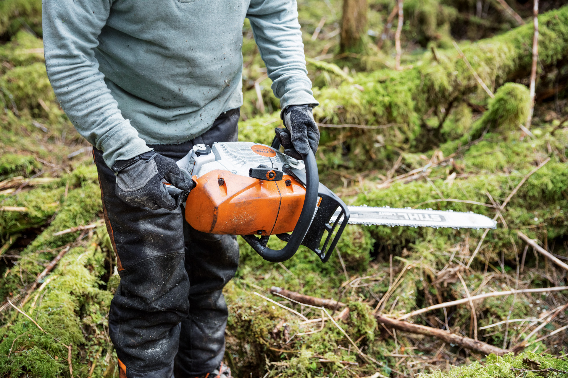 Man met STIHL benzinekettingzaag MS 462 C-M carburateurverwarming in het bos, tussen met mos bedekte boomstammen