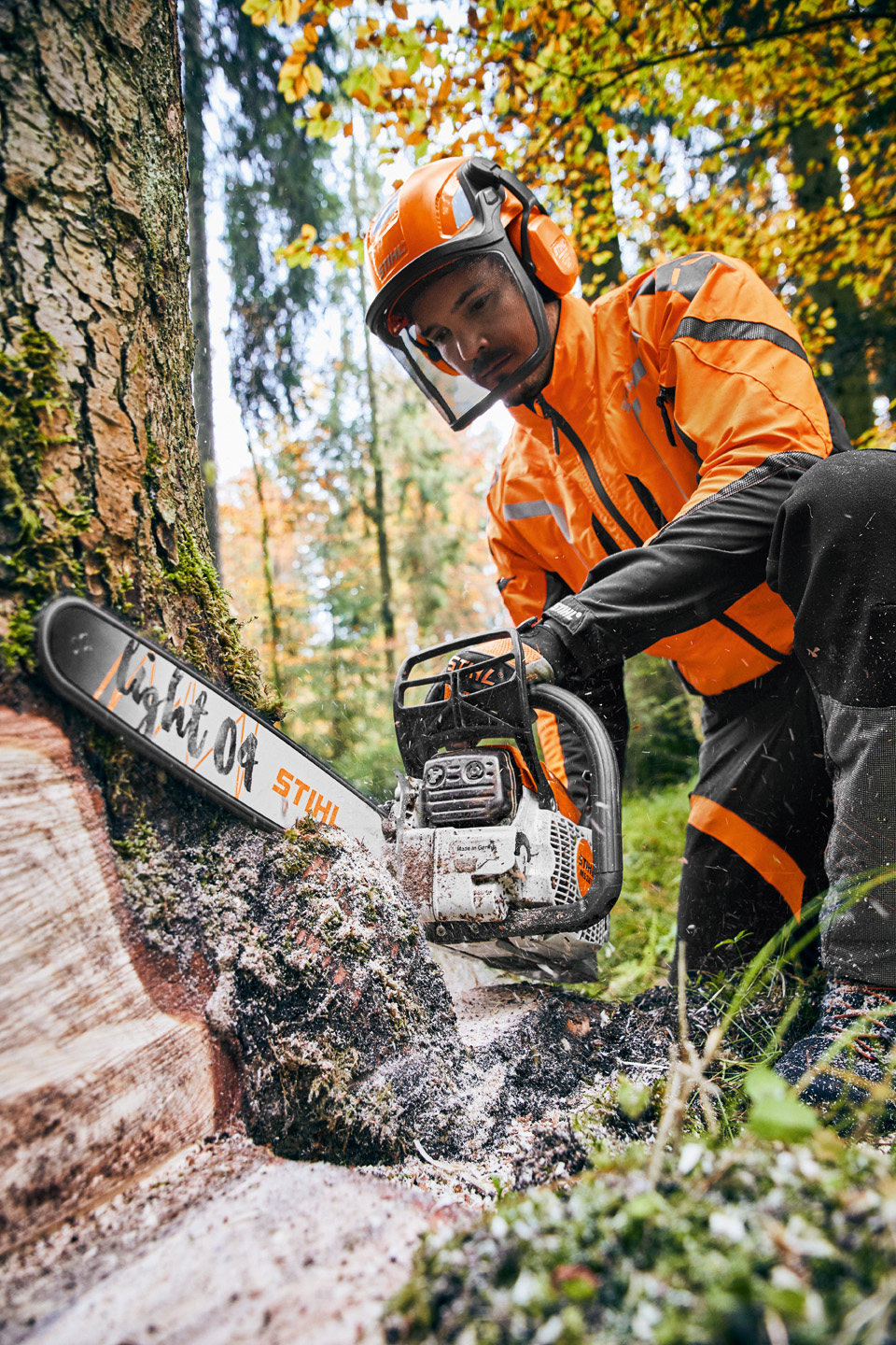 Man met STIHL benzinekettingzaag MS 261 C-M met zaagblad Light 04 zaagt een boom