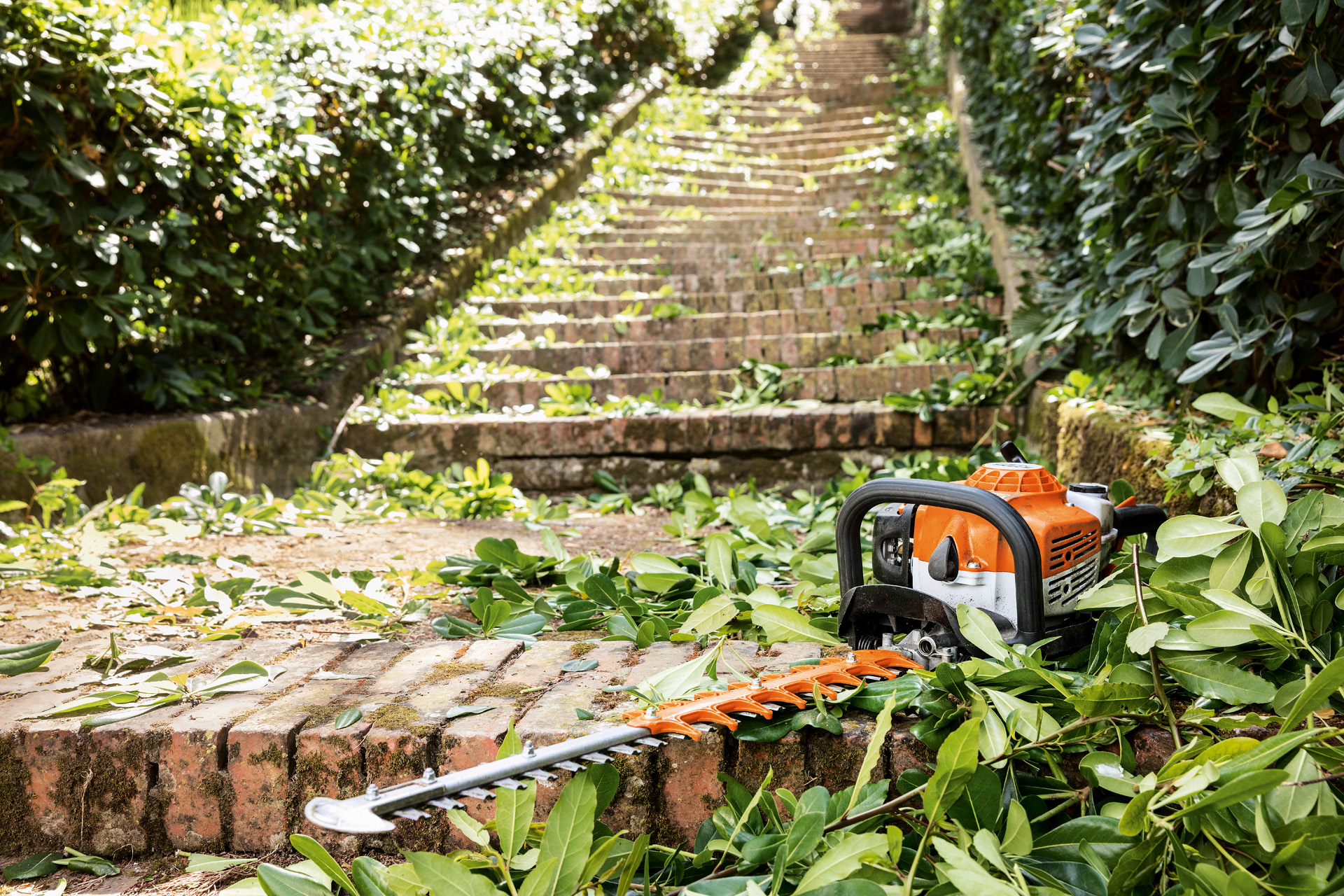 Een STIHL HS 82 T benzineheggenschaar ligt vóór het onderhoud tussen groene bladeren op een trap