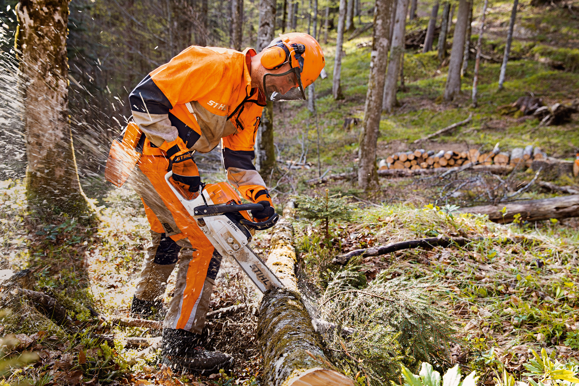 Een bosbouwer in STIHL veiligheidskleding, waaronder de Dynamic Vent-broek (veiligheidsklasse 1), met een kettingzaag