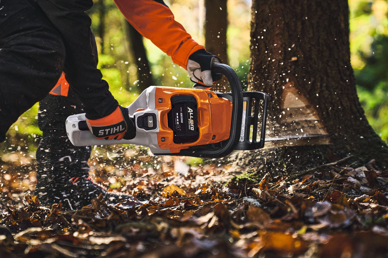 Een professionele gebruiker zaagt bomen om in het bos met de STIHL MSA 260 accu-kettingzaag.
