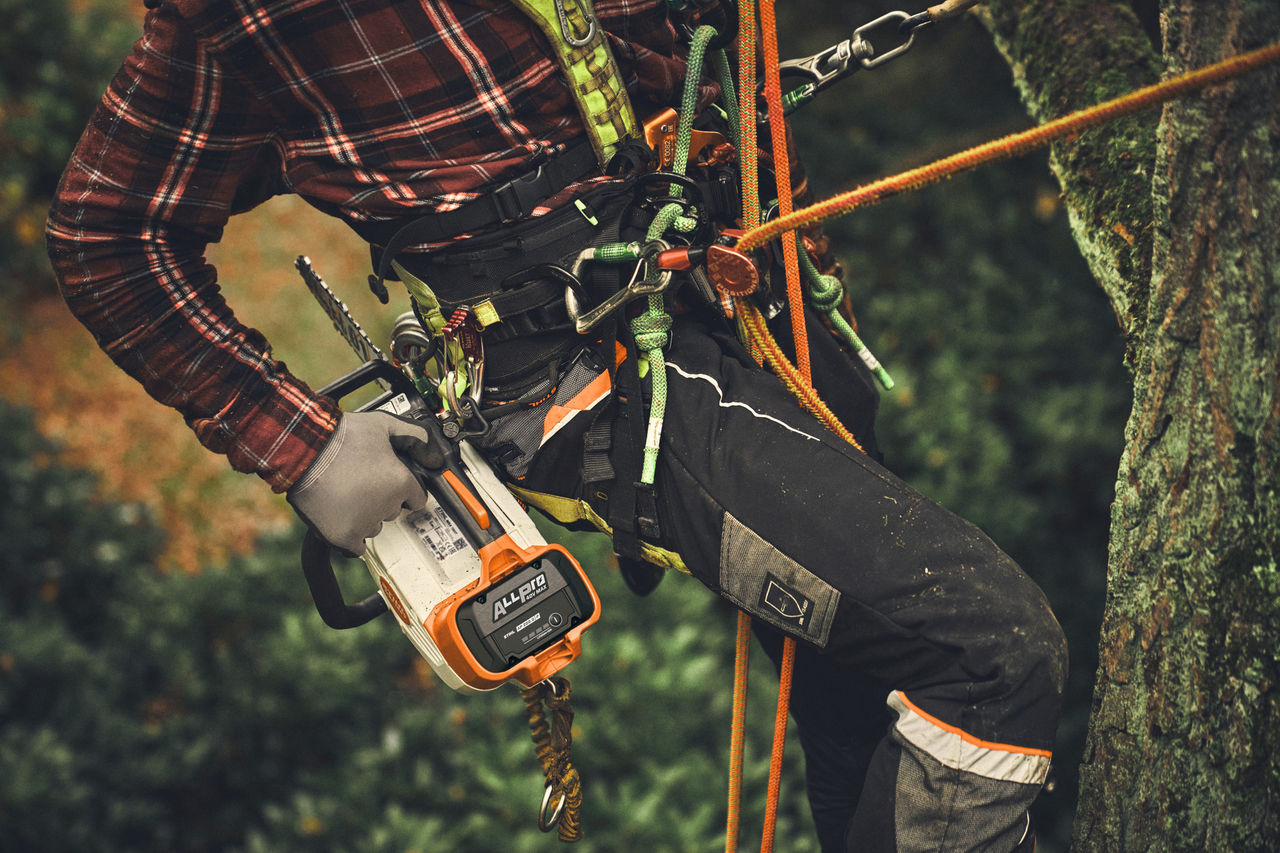 Close-up van een man die met een ALLPRO-accu in een STIHL-accu-kettingzaag MSA 190 T in een boom klimt