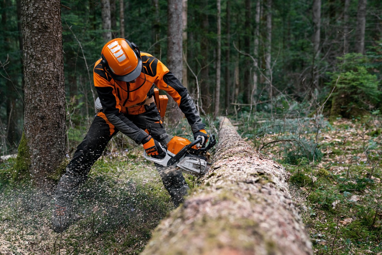 Man in beschermende uitrusting zaagt gevelde boomstam met een STIHL MS 400 C-M benzine-motorzaag met magnesium zuiger