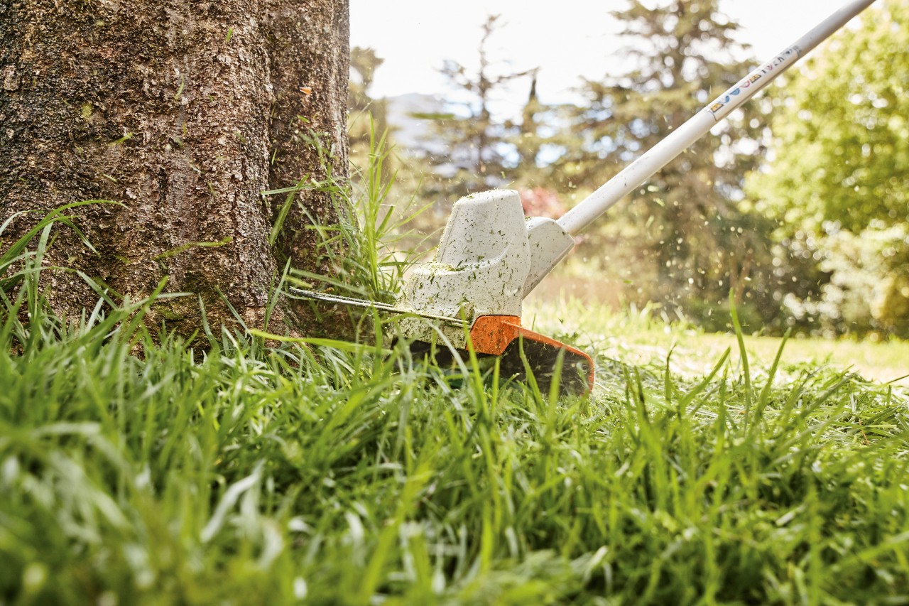  Graskanten rond een boom maaien met de STIHL accubosmaaier FS 57