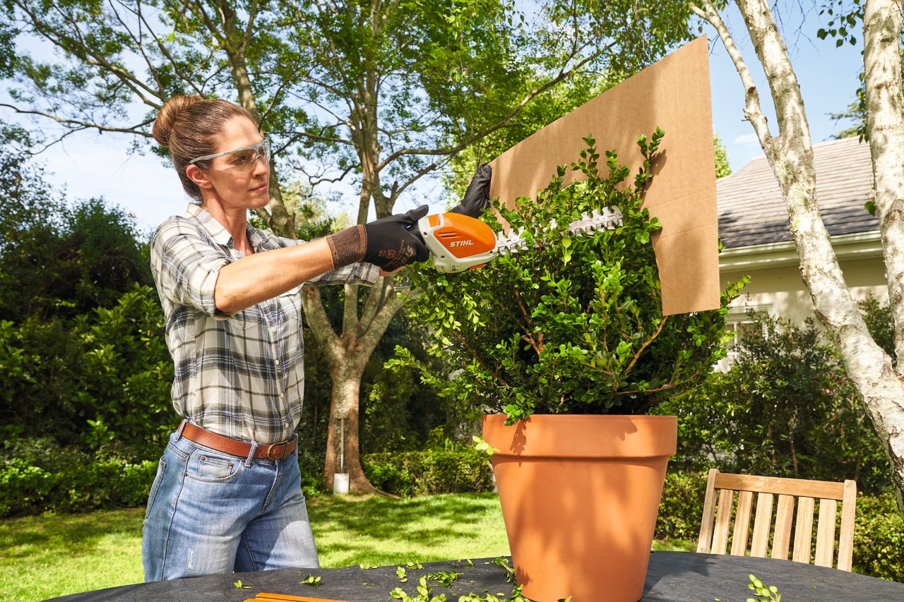 Een vrouw snoeit de buxus met de STIHL HSA 26 accubuxusschaar met behulp van een kartonnen sjabloon in de vorm van een bol
