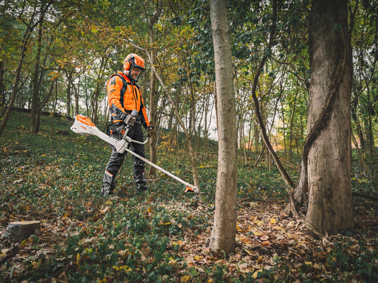 Een persoon in beschermende uitrusting trimt wildgroeiend kreupelhout met een STIHL bosmaaier