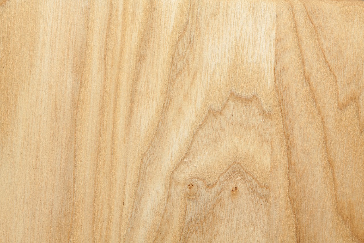 Generfd beukenhout