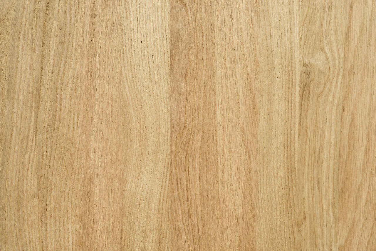 Generfd essenhout