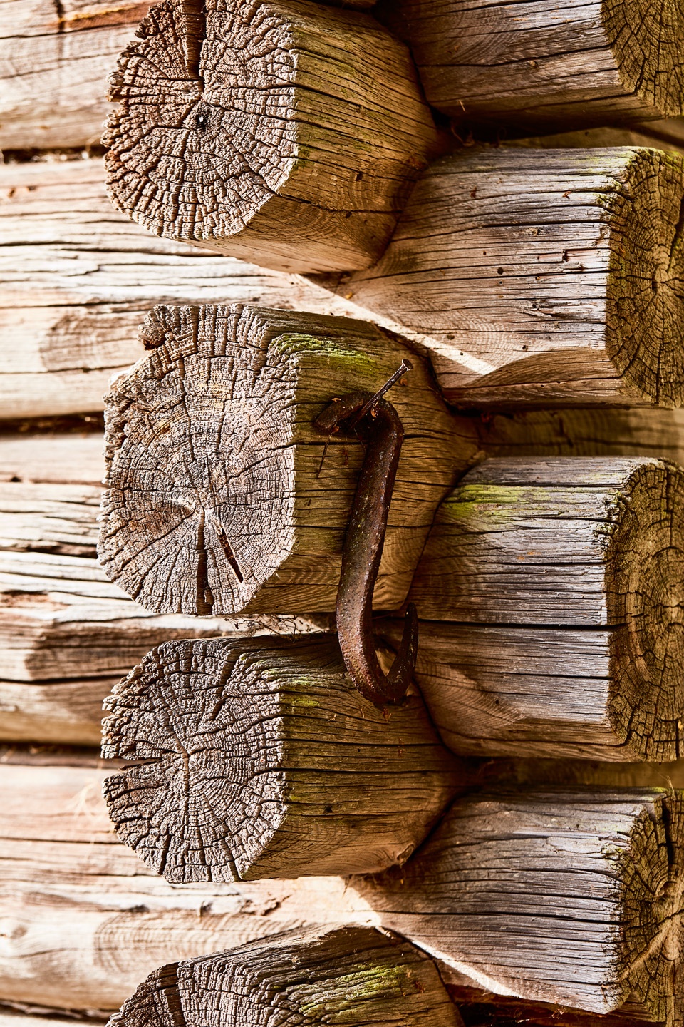Close-up van boomstammen in een zelfgemaakte tuinbank