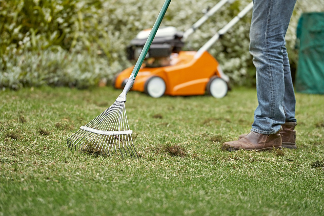 Petrol, Private users, Private, leisure gardeners, occasional users, Garden , Meadow