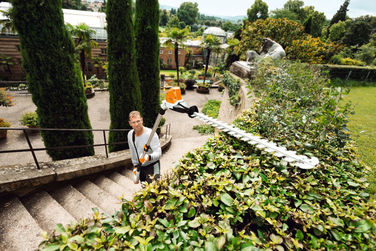 Man op een trap snoeit hoge heg met de STIHL HLA 85 accuheggenschaar op steel